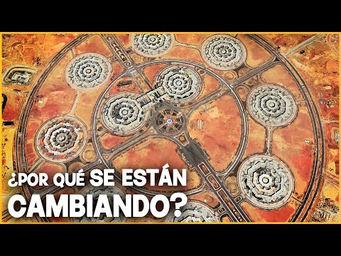 Vídeo: Què és la construcció de capital? Objecte de construcció de capital