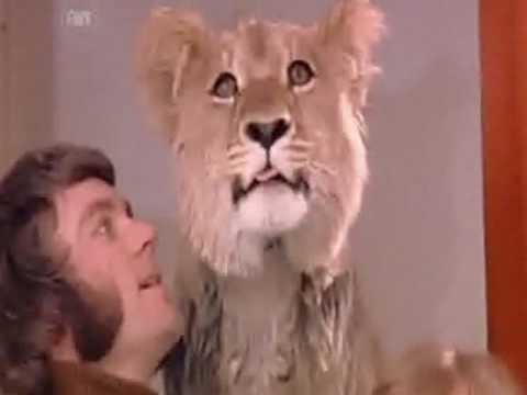 Christian The Lion song by Leann Rymes