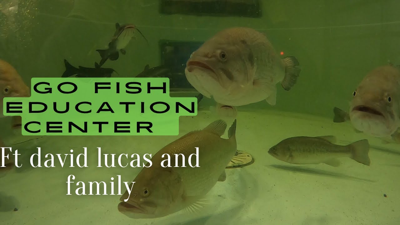 Let’s GO FISH!!!! - YouTube