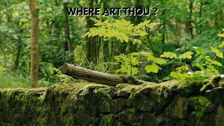 From The Far Country To The Fathers House, Where Art Thou? Read by Irving Risch