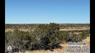 36.8 Acres, Apache County AZ, Parcel 204-64-810.mp4