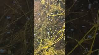 IMG 4129