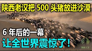 Download Lagu 陝西老漢把500頭豬放進沙漠，6年後的一幕讓全世界震驚了！ MP3