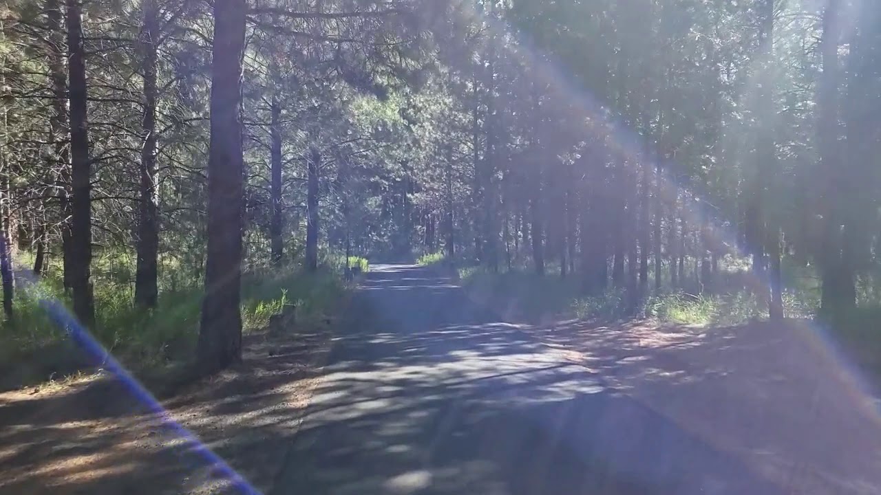 Budget Camping, Campsite Review of Cold Spring Campground near Sisters, Oregon