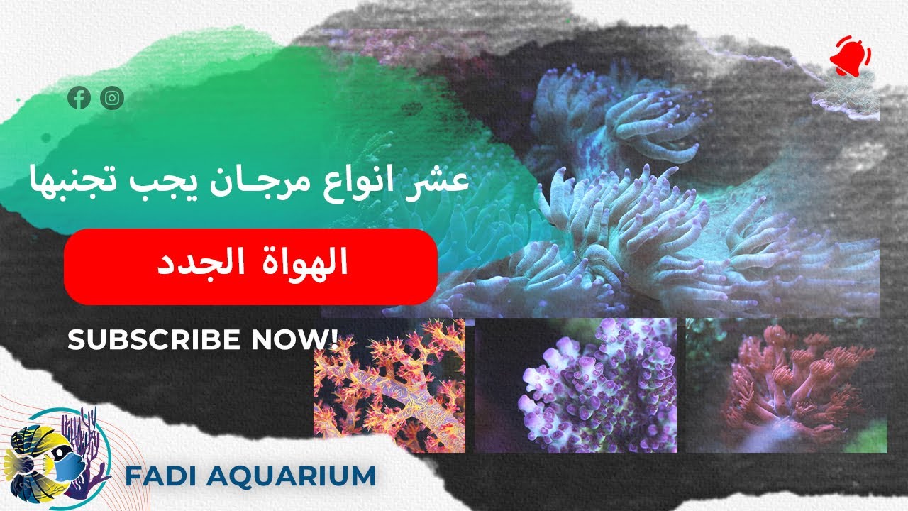 عشر انواع من المرجان يجب ان يتحنبها الهواة الجدد