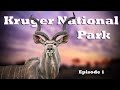 Satara trip  kruger national park   episode 1