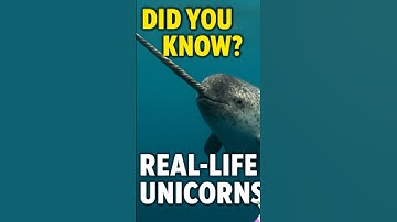 UNICORNS Of The Sea 🌊  #shorts