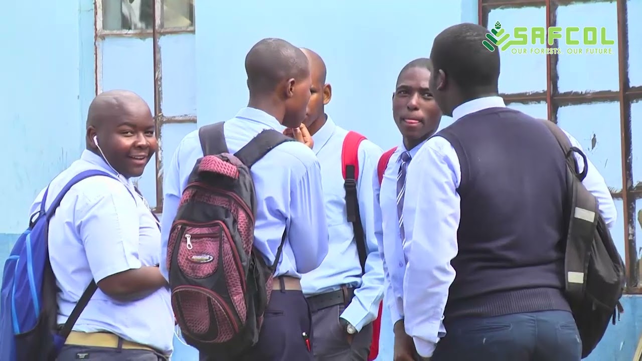 SAFCOL Business explained