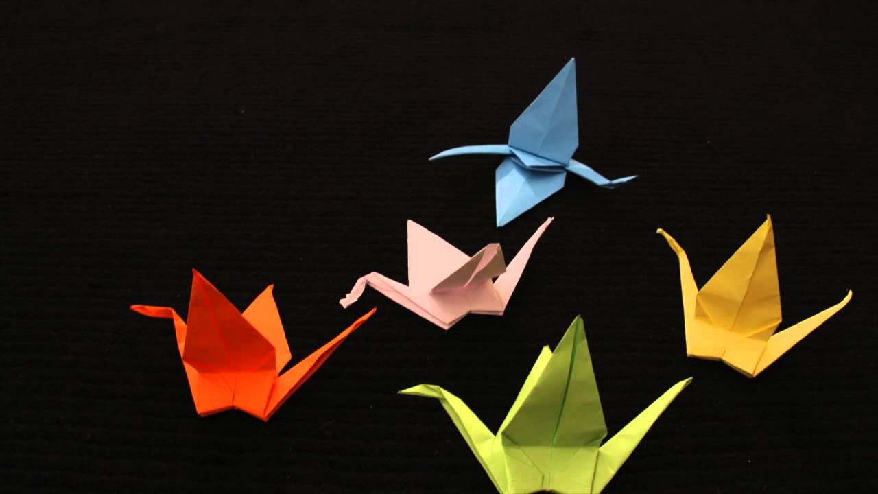 animation photo stop motion "on the ground"III