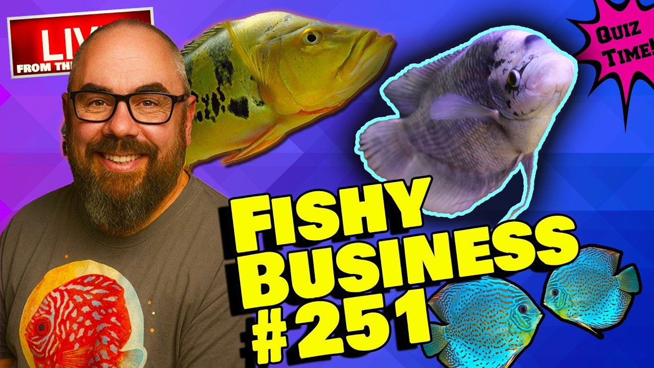 Friday Night Live! -  Fishy Business #251