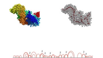 Prophase chromosome compaction and segregation by loop extrusion: 2. Single chromosome