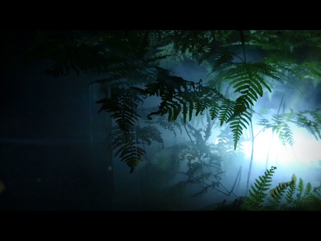 KOSH  - All is Over