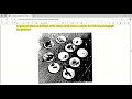 edu510 topic 81 to topic 100 v important regarding to mid term