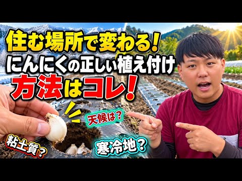 楽農techページ 楽農tech - YouTube