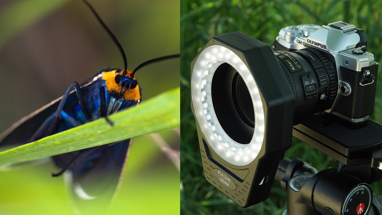 Using Ring Light for Macro Photography - YouTube