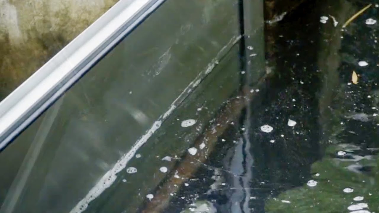 La Barrière Anti-Inondation : Testée et Approuvée !