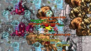 Tibia Ot 8.6 Noob War On Shadowland.zapto