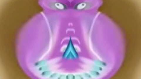 zoopals in deaf major mirror is wrong