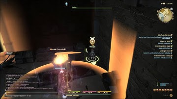 FFXIV Bug