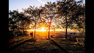 The Questions of Natural Capital Science