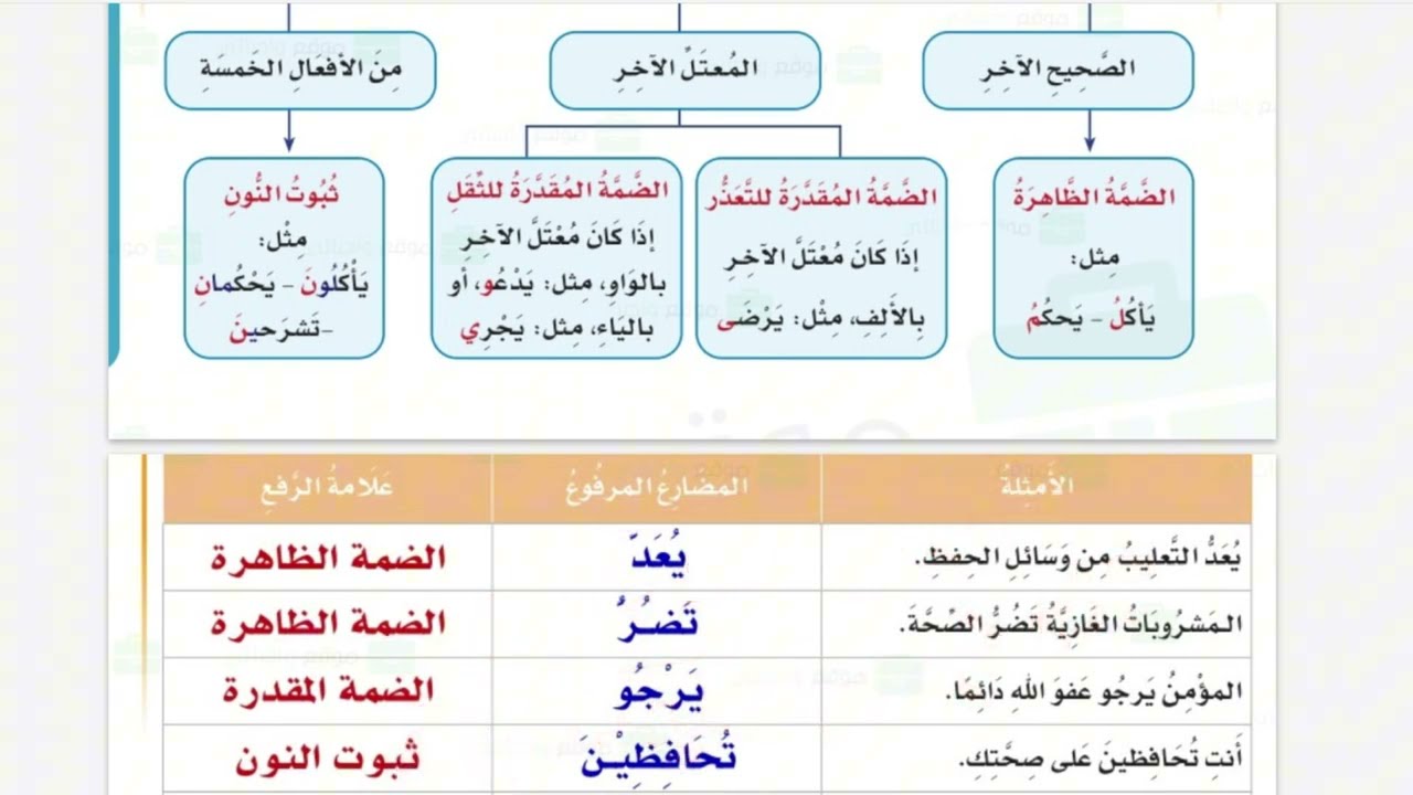 مراجعة هامة جدا رفع ونصب وجزم الفعل المضارع لغتي سادس الفصل الدراسي الثالث
