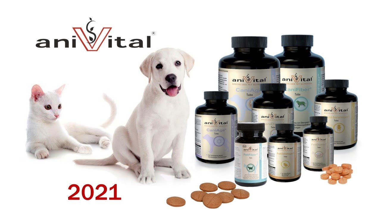 Немецкие комплексы для собак и кошек aniVital | Вебинар 2021