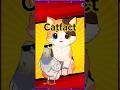 Alle sind Rebellen! | Catfact