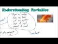 Goldfish Growth and Experimental Variables Explained
