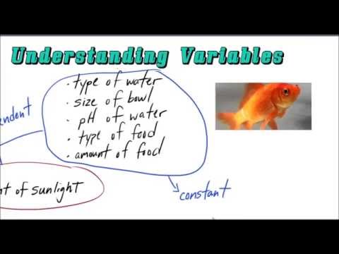 Independent and Dependent Variables Made Easy!!