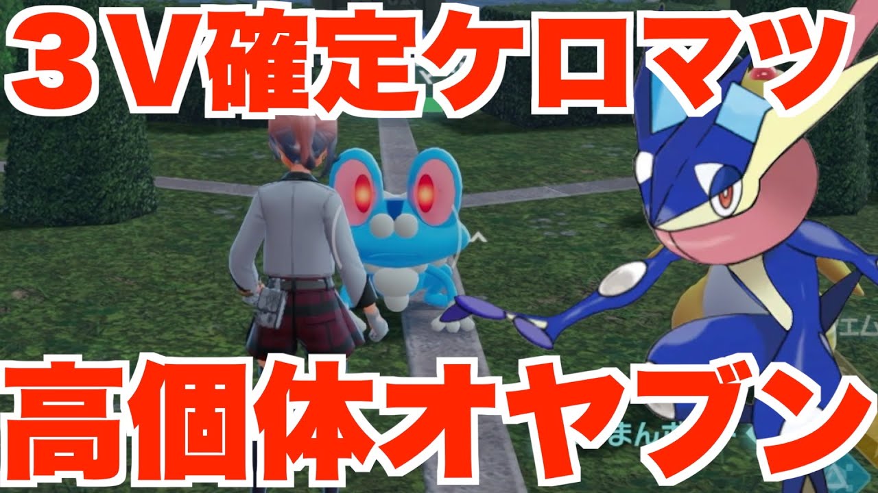 【ポケモンZA】高個体のケロマツとオヤブン「ゲッコウガ」ついにゲット！失敗した時の対処法は？