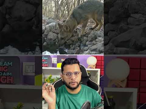 He Dug a Pit in the Jungle… The Reason Will Surprise You #alphafacts