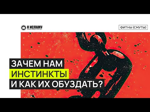 Зачем нам инстинкты и как их обуздать? Ринат Абу Мухаммад