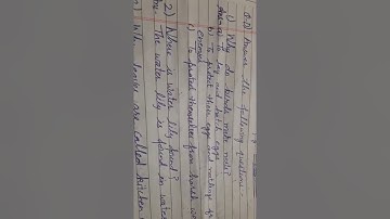 Class 3rd EVS assignment video 3