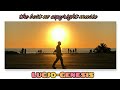 Lucjo Genesis