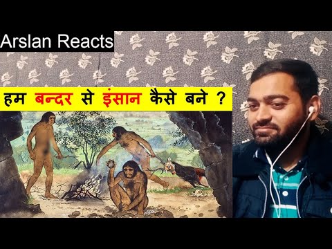 Kia Ham Bandar Se insaan Bane Reaction | How Did We Become Human From Monkey?