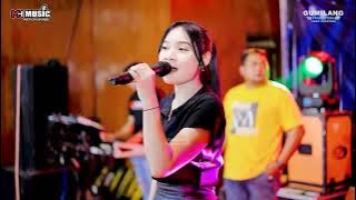 FULL ALBUM MH MUSIC - HAPPY PARTY ONE PUTRA MANDIRI - RM SAPTORENGGO PATI