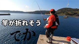 I'm at my wit's end! I was seriously fishing on the bank when a