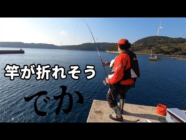 I'm at my wit's end! I was seriously fishing on the bank when a