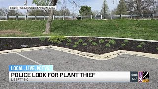 Liberty Police seek help finding serial plant thief at City Park