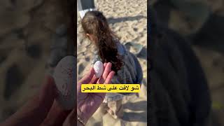 ميرا لاقت بيضة #shorts#explore #animal