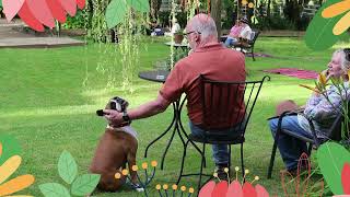 Spring into Art at Newbridge