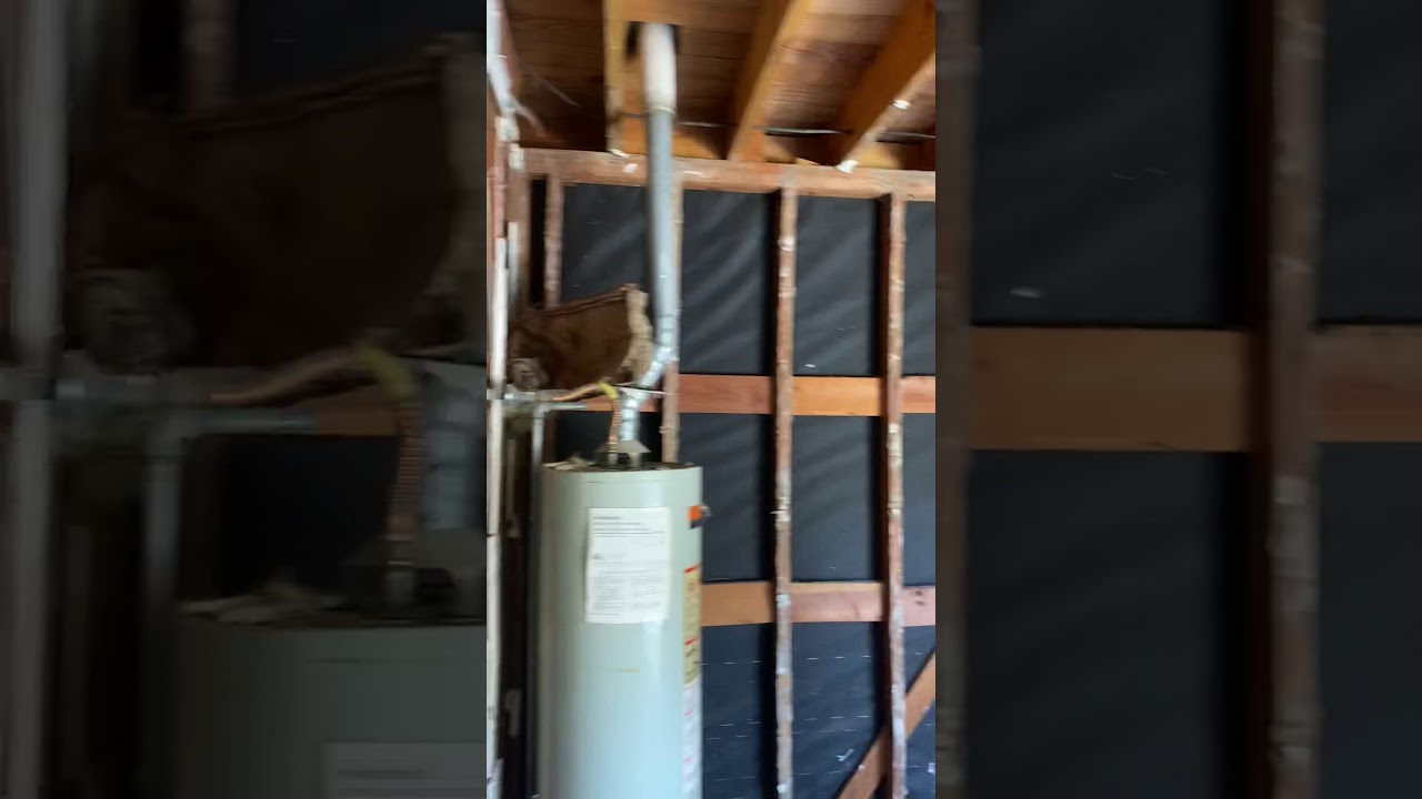 Termites discovery - YouTube