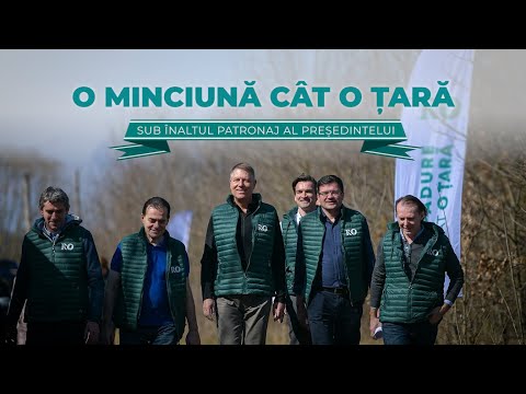 Video: Care țară are cele mai temperate păduri?