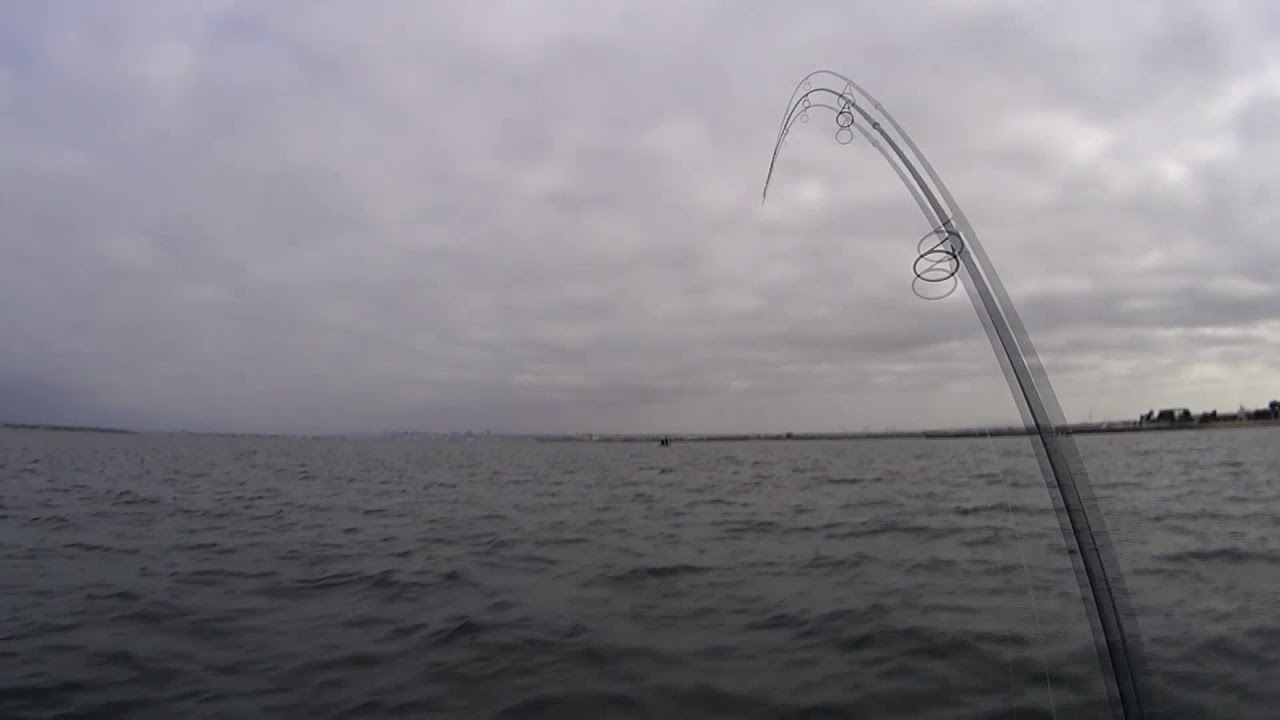 San Diego Bay Fishing for Bonefish - June 30, 2018