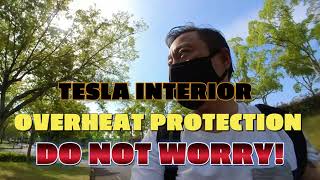 TESLA HAS INTERIOR OVERHEAT PROTECTION SO DON'T WORRY TOO MUCH!! REMOTE CLIMATE CONTROL