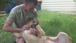 Colorado foster center helps care for animals while owners recover from addiction