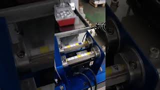 Full Automatic Pad Printing Machine for Size Clips pad printer automatic tapes pad printing machine