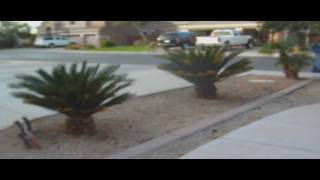 Weekend Throwaway Skateboard