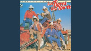 Video thumbnail of "Los Tigres Del Norte - La Jaula De Oro"
