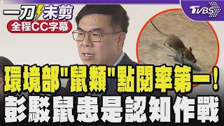 北市鼠害問題
